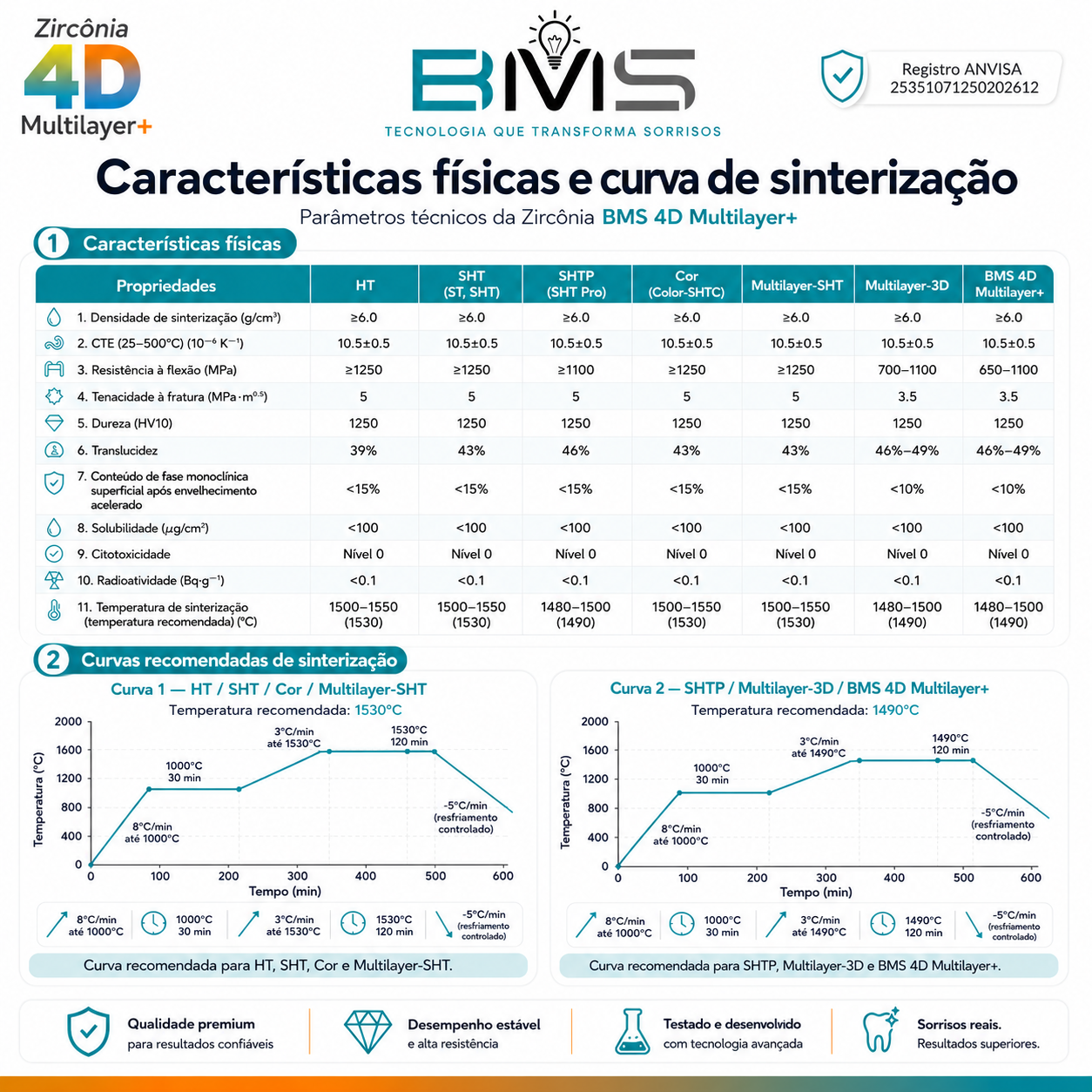 Características físicas e curva de sinterização